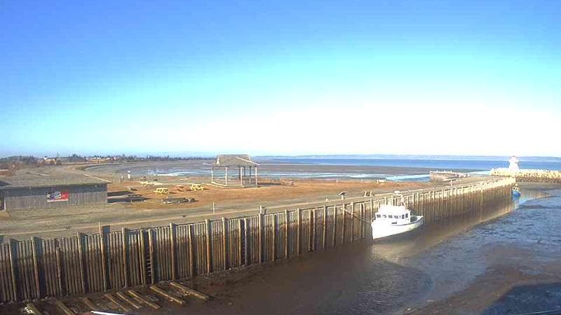 Belliveau Cove Harbour