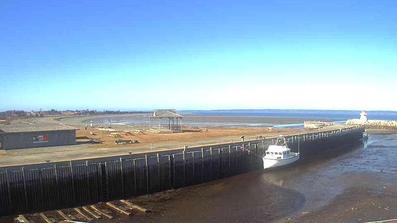 Belliveau Cove Harbour
