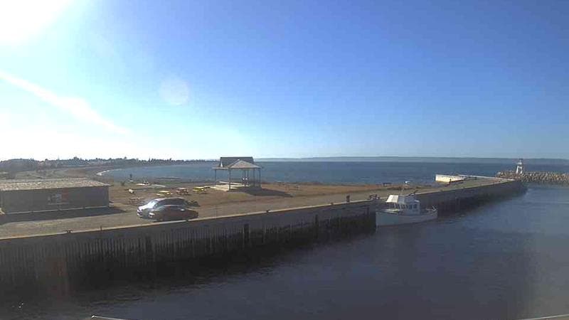 Belliveau Cove Harbour