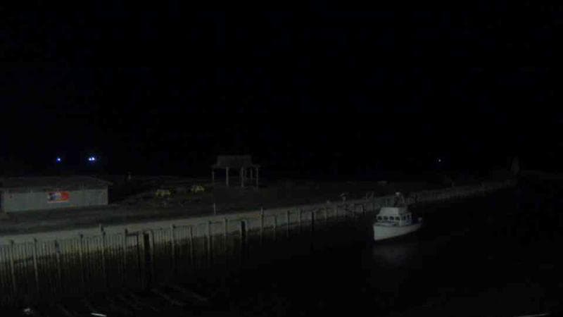 Belliveau Cove Harbour