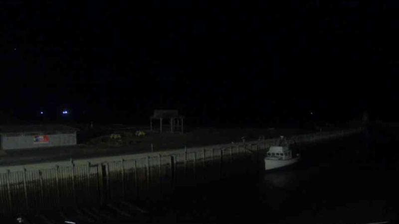 Belliveau Cove Harbour