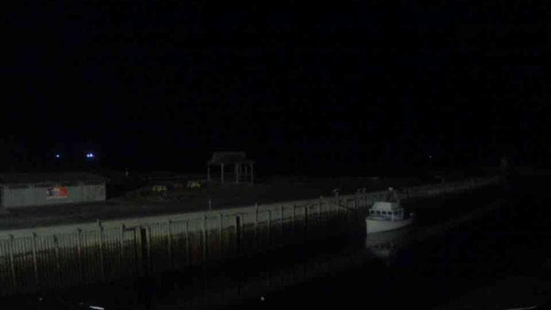 Belliveau Cove Harbour