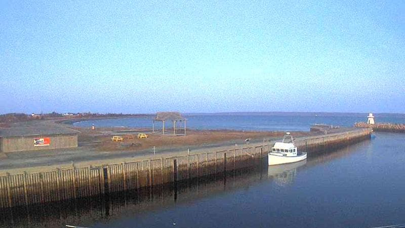 Belliveau Cove Harbour