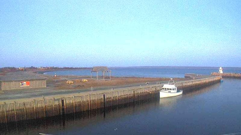 Belliveau Cove Harbour