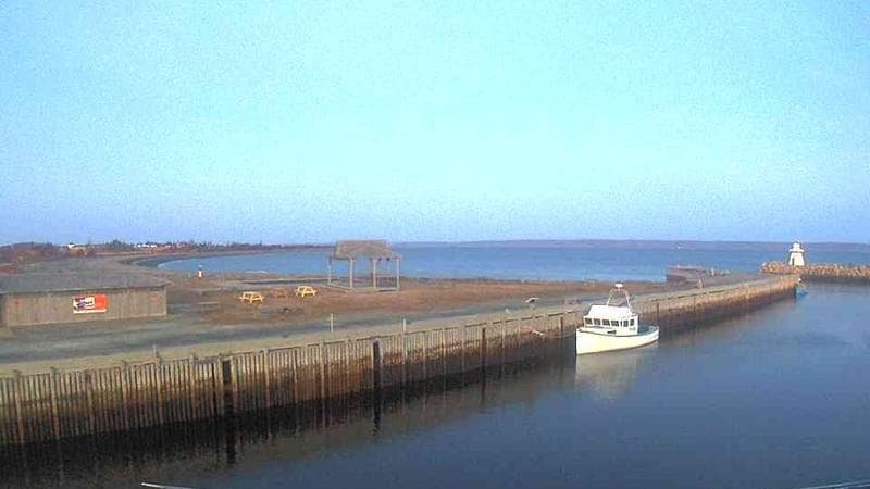 Belliveau Cove Harbour