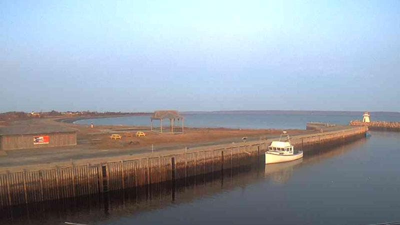 Belliveau Cove Harbour