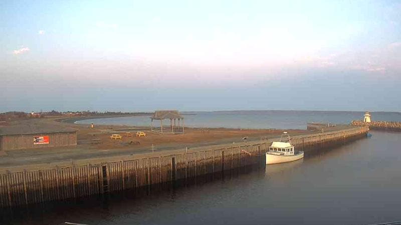 Belliveau Cove Harbour