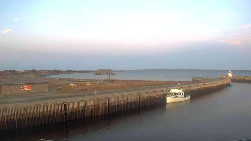 Belliveau Cove Harbour