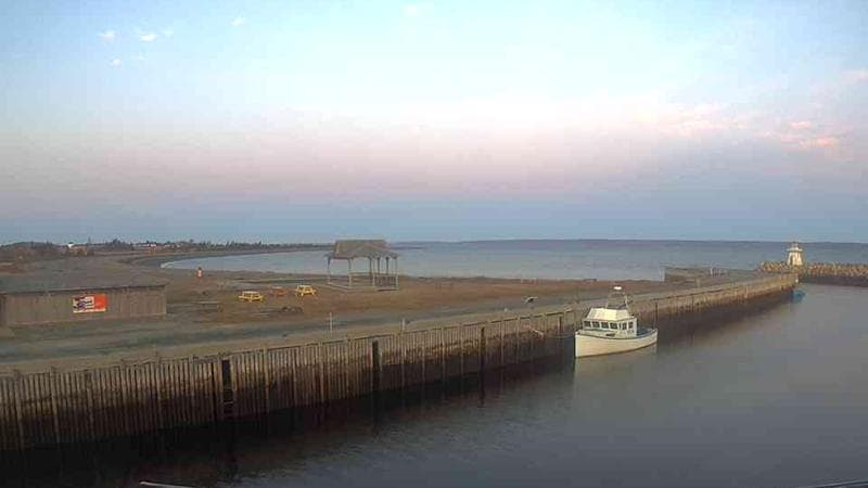 Belliveau Cove Harbour