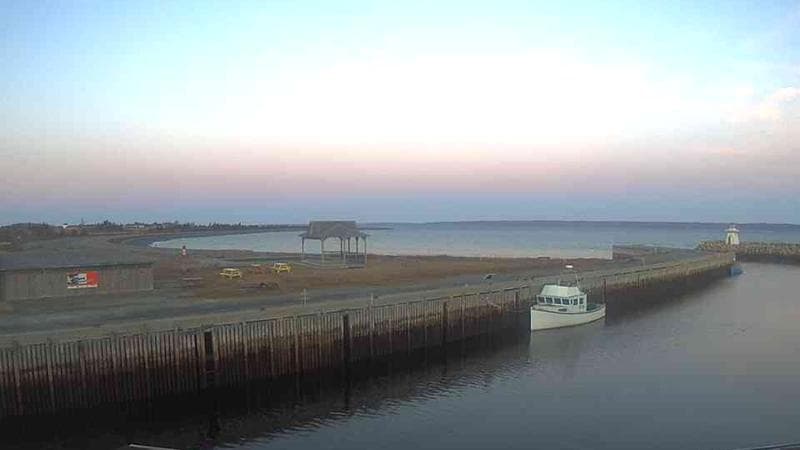 Belliveau Cove Harbour