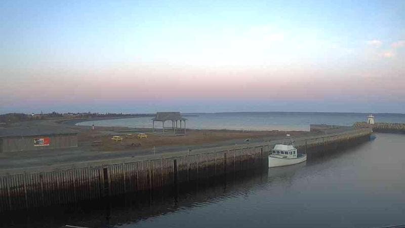 Belliveau Cove Harbour