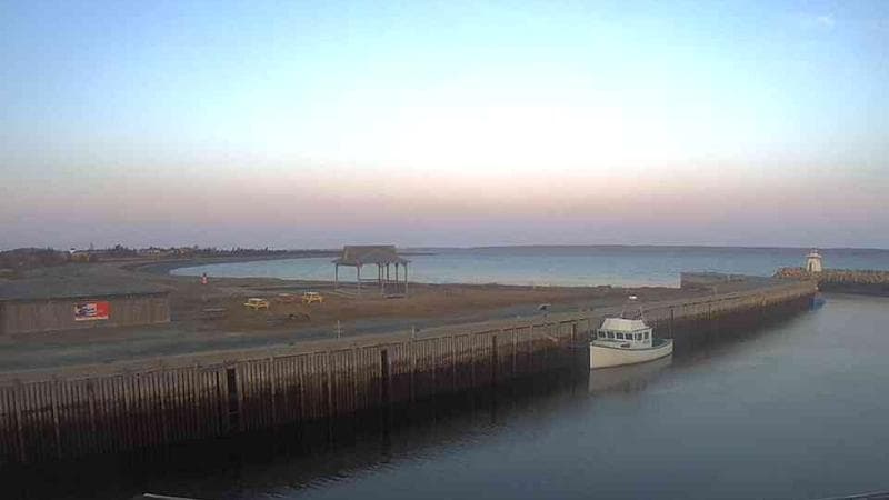 Belliveau Cove Harbour