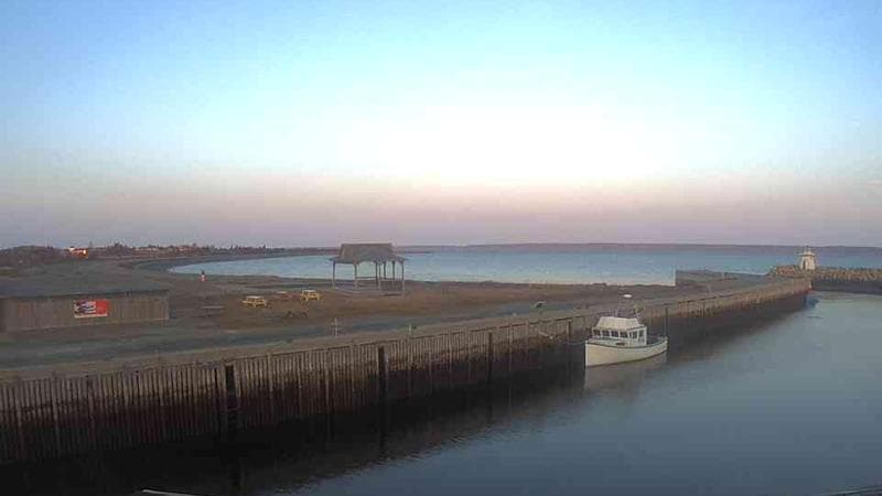 Belliveau Cove Harbour