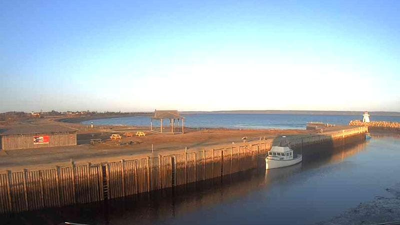 Belliveau Cove Harbour