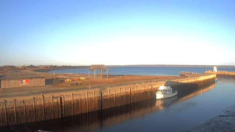 Belliveau Cove Harbour