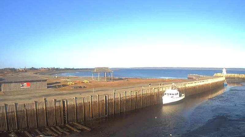 Belliveau Cove Harbour