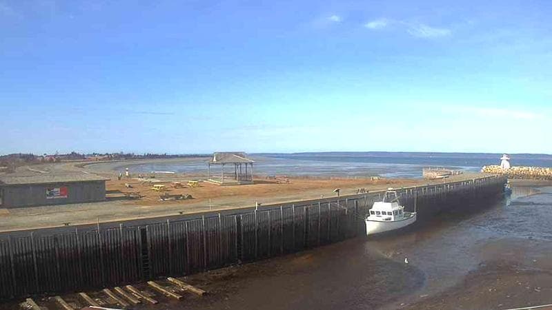 Belliveau Cove Harbour