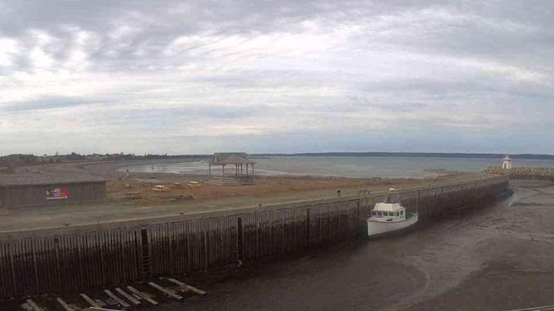 Belliveau Cove Harbour