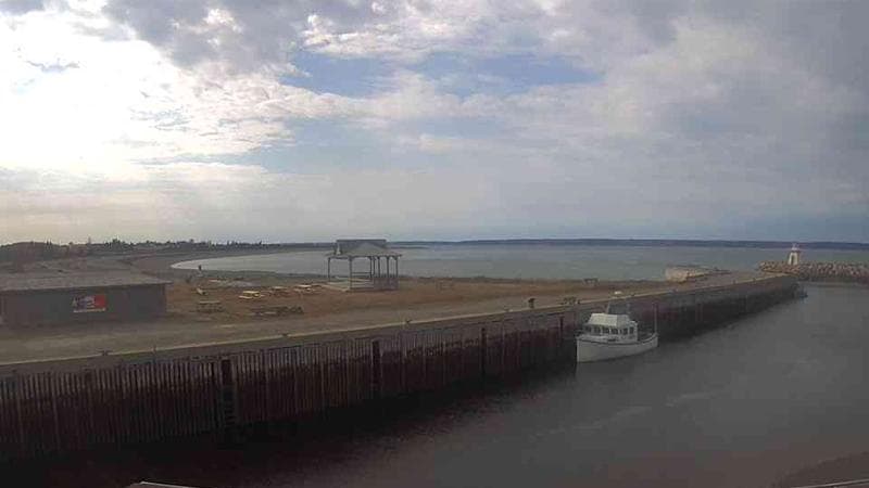 Belliveau Cove Harbour