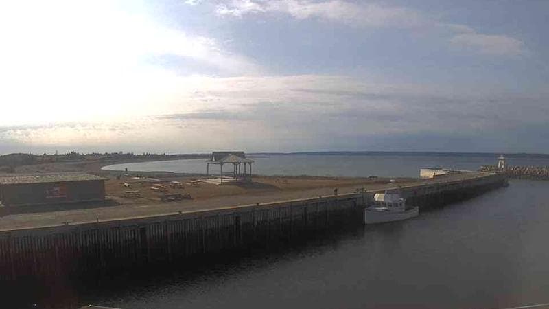 Belliveau Cove Harbour