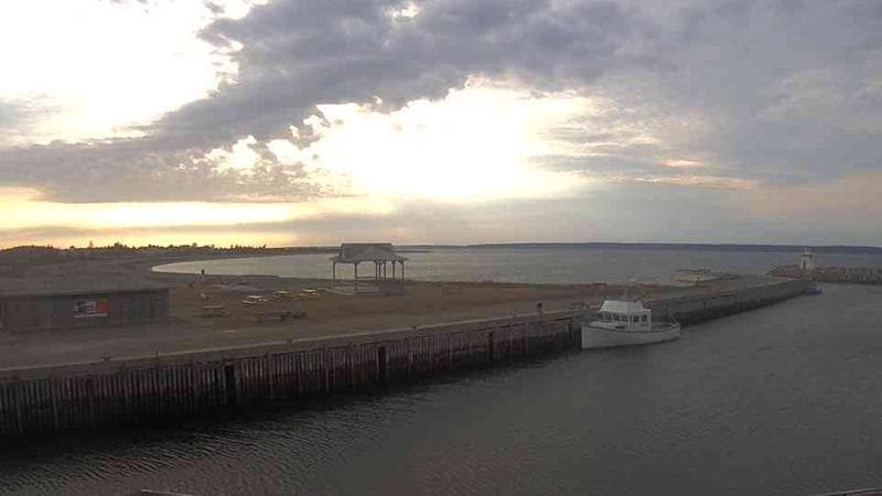 Belliveau Cove Harbour