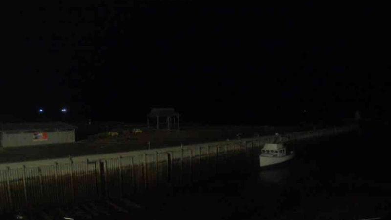 Belliveau Cove Harbour