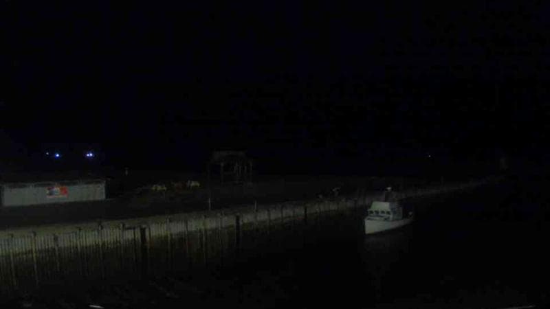 Belliveau Cove Harbour