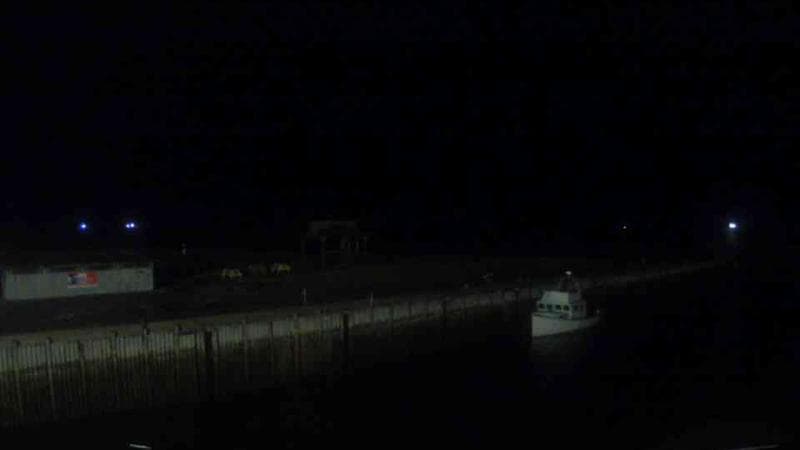 Belliveau Cove Harbour