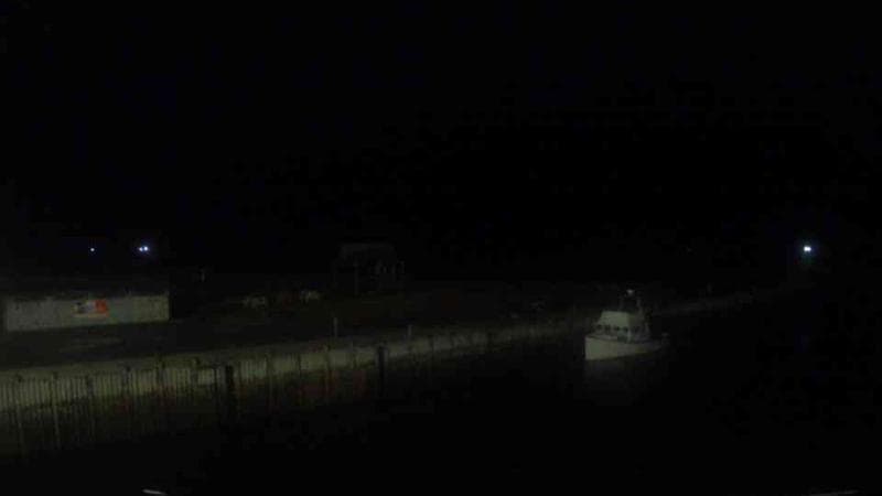 Belliveau Cove Harbour