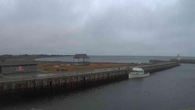 Belliveau Cove Harbour