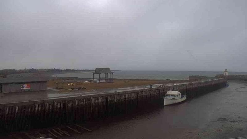 Belliveau Cove Harbour