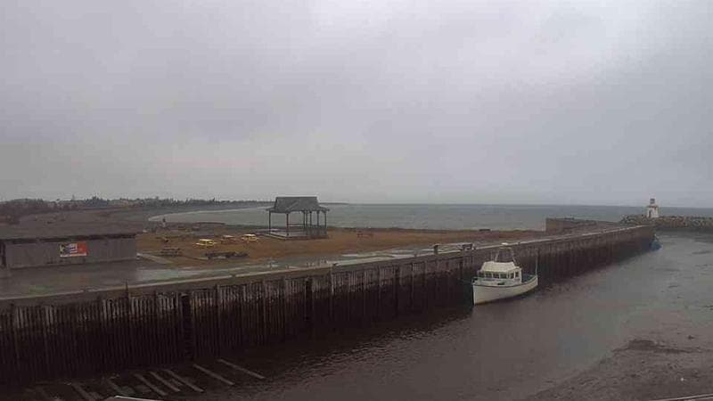 Belliveau Cove Harbour