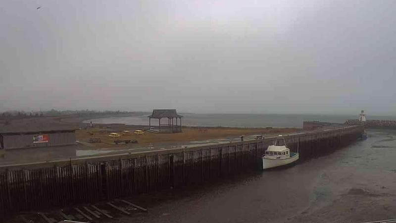 Belliveau Cove Harbour