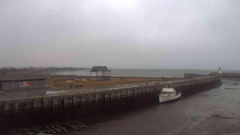 Belliveau Cove Harbour