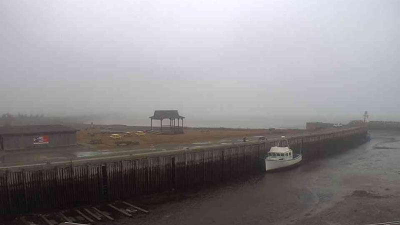 Belliveau Cove Harbour