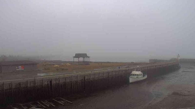 Belliveau Cove Harbour