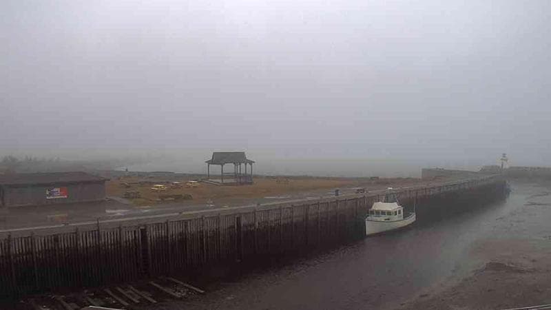 Belliveau Cove Harbour