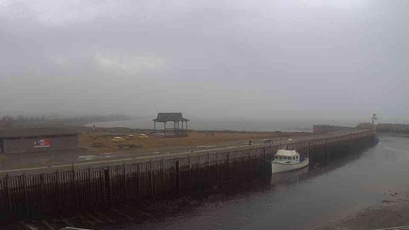 Belliveau Cove Harbour