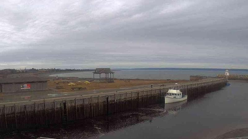 Belliveau Cove Harbour