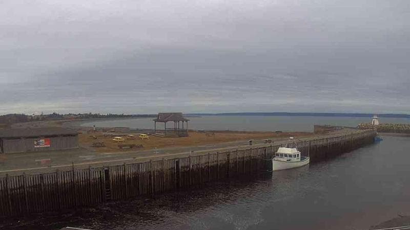 Belliveau Cove Harbour