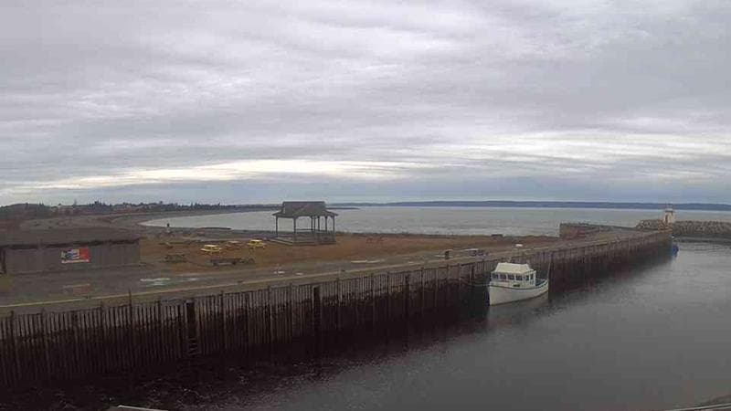 Belliveau Cove Harbour