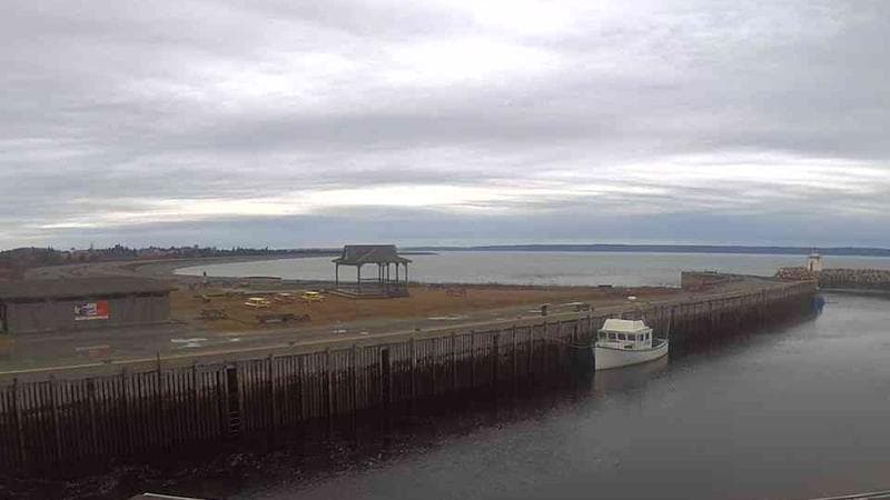 Belliveau Cove Harbour