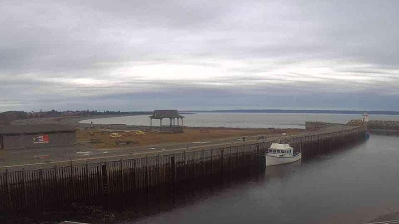 Belliveau Cove Harbour
