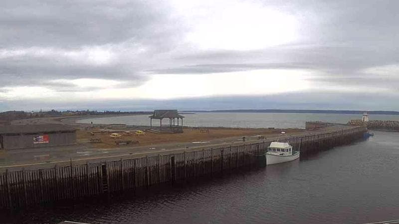 Belliveau Cove Harbour