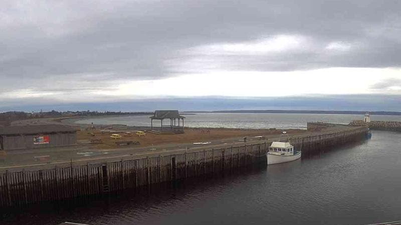 Belliveau Cove Harbour