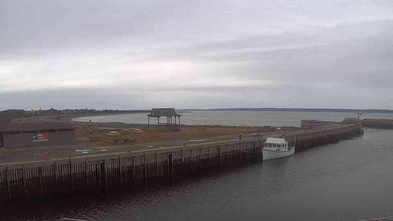 Belliveau Cove Harbour