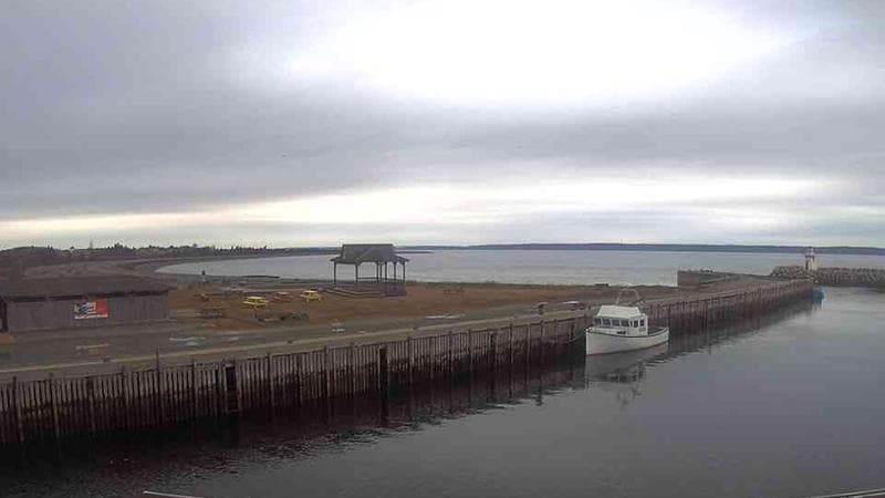Belliveau Cove Harbour