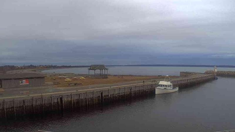 Belliveau Cove Harbour