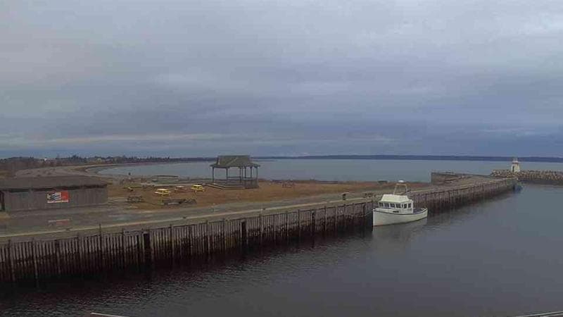 Belliveau Cove Harbour