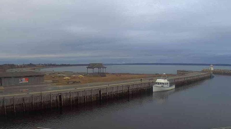 Belliveau Cove Harbour